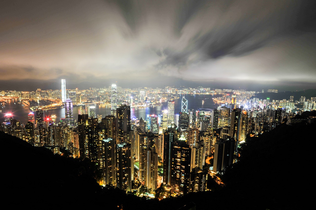 五月兔毛市场最新行情概览与分析